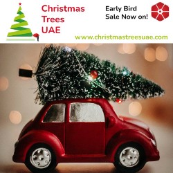 Christmas Trees UAE – Serving customers across the UAE